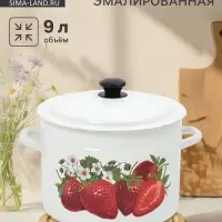 Кастрюля эмалированная, 9 л, d=26.5 см, с крышкой, белая