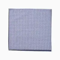 Платки носовые мужские Этель 30*30 см,(набор 12 шт,) цв. синий, рис. МИКС, 100% хл