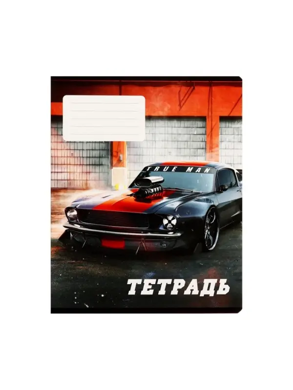 Тетради 10 штук, 24 листа в линию Calligrata Street racing, обложка мелованный картон, ВД-лак, блок офсет, 5 видов по 2 штуки