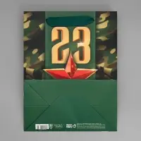 Пакет подарочный ламинированный, упаковка, &laquo;С 23 февраля&raquo;, MS 18&times;23&times;10 см