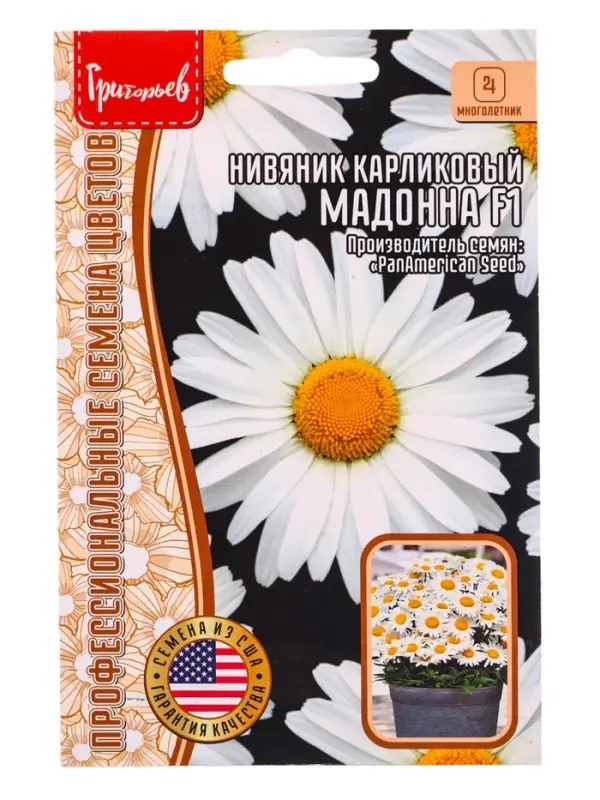 Семена цветов Нивяник Мадонна карликовый  5 шт.  12.29 г.