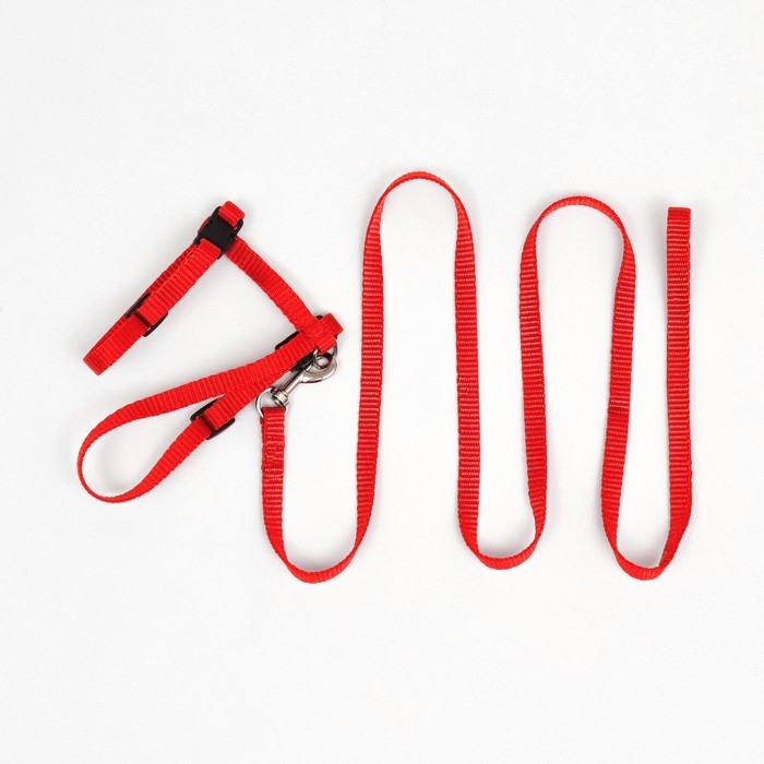 Комплект для кошек, ширина 1 см, ОШ 16,5-27 см, ОГ 21-35 см, поводок 120 см, красный
