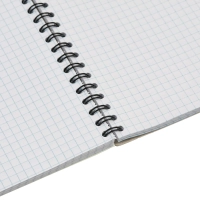 Тетрадь общая Attache Cristal,96л,клет,А4,спир,обл.мел.карт