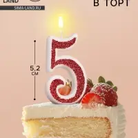 Свеча в торт на шпажке «Рубиновая коллекция», цифра 5, 5.2 см, рубиновая