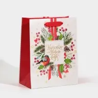 Пакет подарочный новогодний ламинированный «Чудесного Нового Года», MS 18 х 23 х 10 см