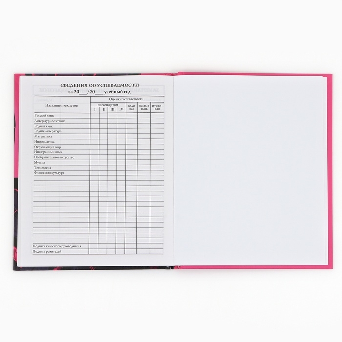 Дневник школьный 1-4 класса, в твердой обложке, 48 л &laquo;Аниме девушка&raquo;