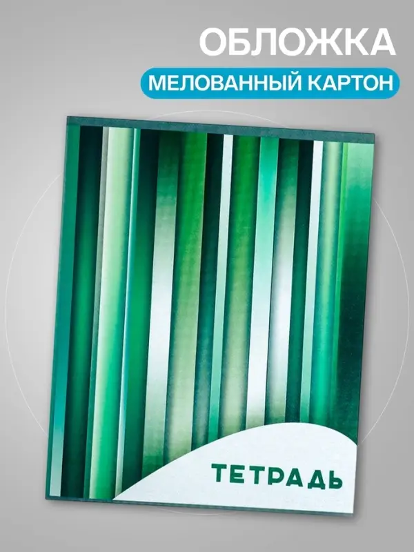 Набор тетрадей, 96 листов в клетку, Calligrata &laquo;Яркие полосы&raquo;, серые листы, 4 штуки