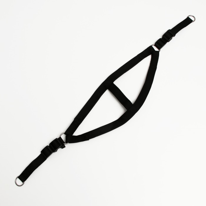 Шлейка Шлейка "Комфорт" комбинированная, 2,5 см, ОШ 55-60 см, ОГ 60-65 см, чёрная