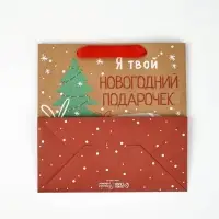 Пакеты подарочные новогодние &laquo;С новым годом&raquo;, набор 5 шт., 22&times;22&times;11 см