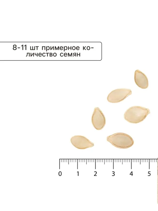 Семена Кабачок &laquo;Зебра&raquo;, 1.5 г, &laquo;Удачные семена&raquo;