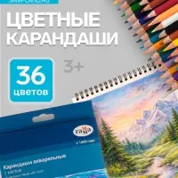 Карандаши цветные акварельные 36 цветов, &laquo;Гамма. Лицей&raquo;, с кистью, шестигранные