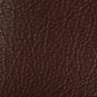 Заплатка клеевая из кожзаменителя, 10×20 см, тёмно-коричневая