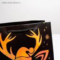 Пакет голография «Новый год», ML 23 х 27 х 11.5 см