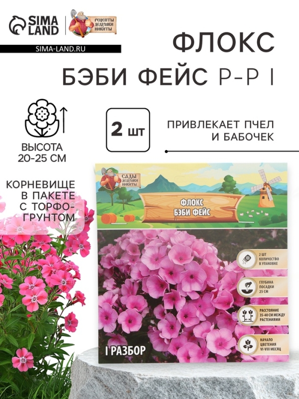 Флокс «Бэби Фейс» корневище в пакете с торфогрунтом, р-р I, 2 шт.