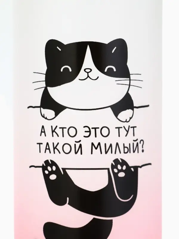 Бутылка для воды пластиковая &laquo;Котя&raquo;, 300 мл