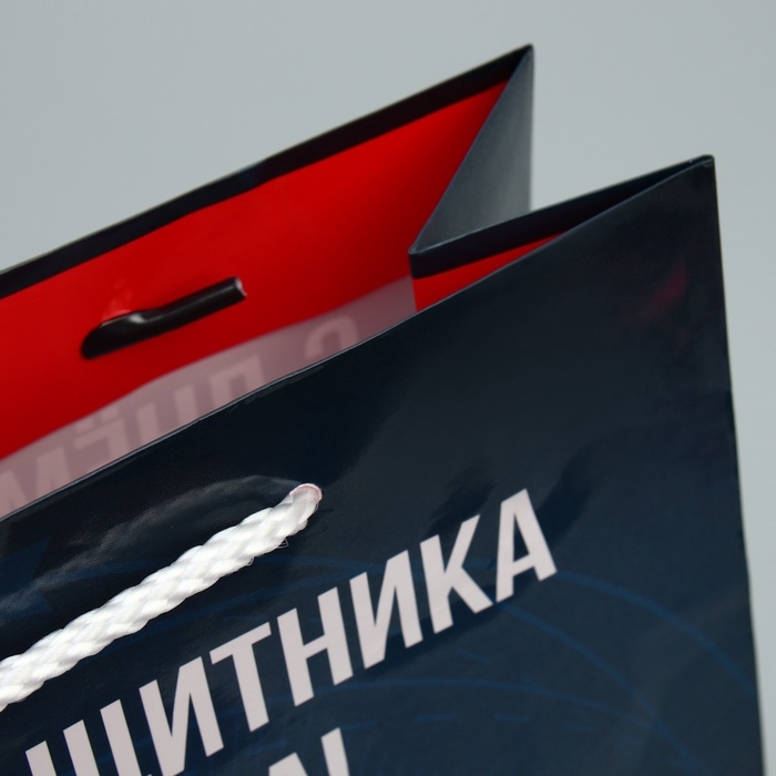 Пакет подарочный ламинированный, упаковка, «Защитник Отечества», ML 21 х 25 х 8 см Пакет подарочный ламинированный, упаковка, «Защитник Отечества», ML 21 х 25 х 8 см