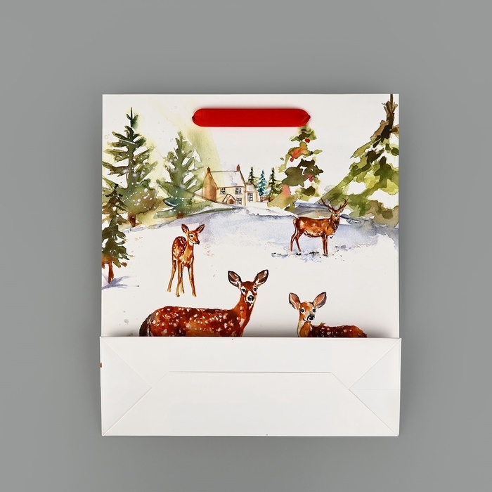 Пакет подарочный новогодний ламинированный «Прогулка в зимнем лесу», M 30 х 26 х 9 см, Новый год Пакет подарочный новогодний ламинированный «Прогулка в зимнем лесу», M 30 х 26 х 9 см, Новый год