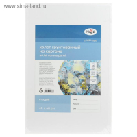 Холст на картоне 40 х 60 см, хлопок 100%, акриловый грунт, мелкозернистый, "Студия"