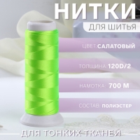 Нить атласная, 120D/2, 700 м, цвет салатовый №644