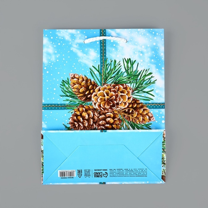 Пакет подарочный новогодний ламинированный «С Новым годом», шишки, MS 18 х 23 х 8 см, Новый год Пакет подарочный новогодний ламинированный «С Новым годом», шишки, MS 18 х 23 х 8 см, Новый год