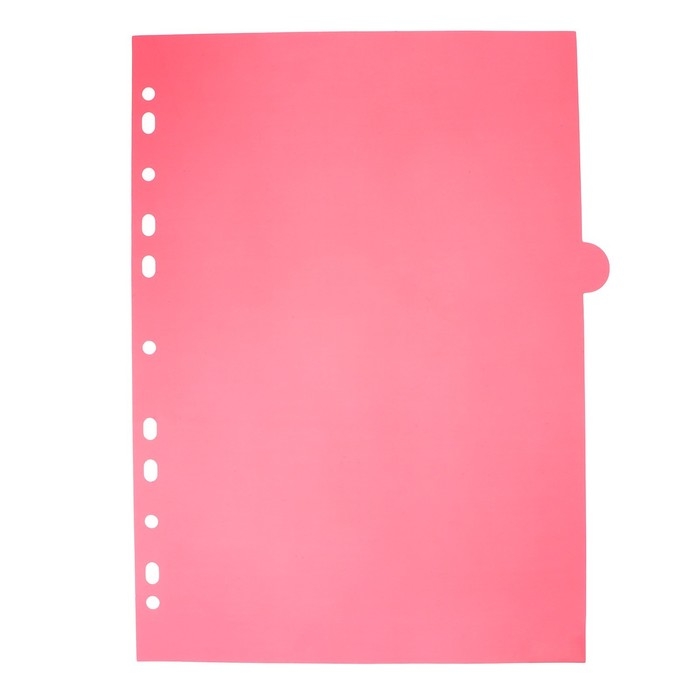 Разделитель листов A4 (245 x 305 мм), цветовой, 12 листов, Разделитель листов A4 (245 x 305 мм), цветовой, 12 листов, "deVENTE. Marandi" полипропилен 140 мкм, индивидуальная упаковка