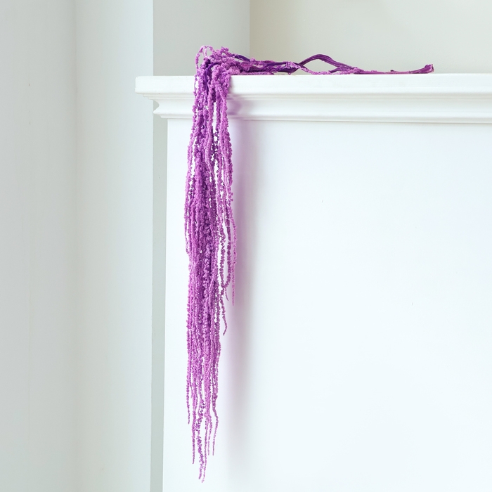 Сухие цветы амаранта, 100 г, размер листа: от 50 до 60 см, цвет фиолетовый Сухие цветы амаранта, 100 г, размер листа: от 50 до 60 см, цвет фиолетовый