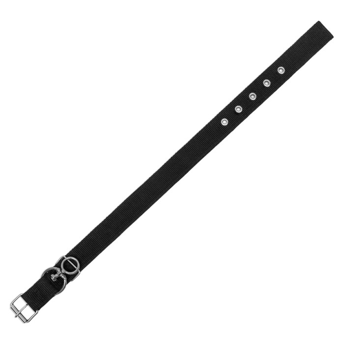 Ошейник двухслойный с вертлюгом, 55 х 2,5 см, полиэстер, черный Ошейник двухслойный с вертлюгом, 55 х 2,5 см, полиэстер, черный