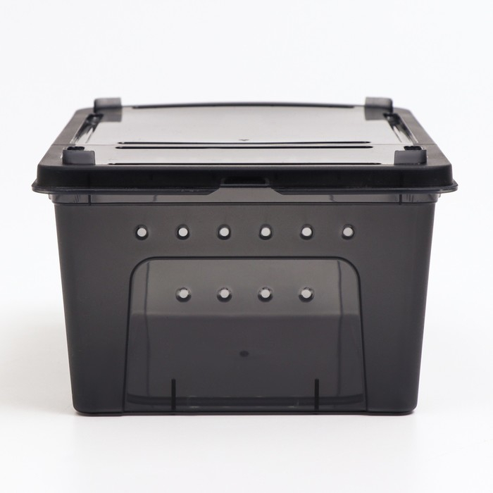 Переноска - отсадник для рептилий, 26 х 17,5 х 11,5 см, черная Переноска - отсадник для рептилий, 26 х 17,5 х 11,5 см, черная