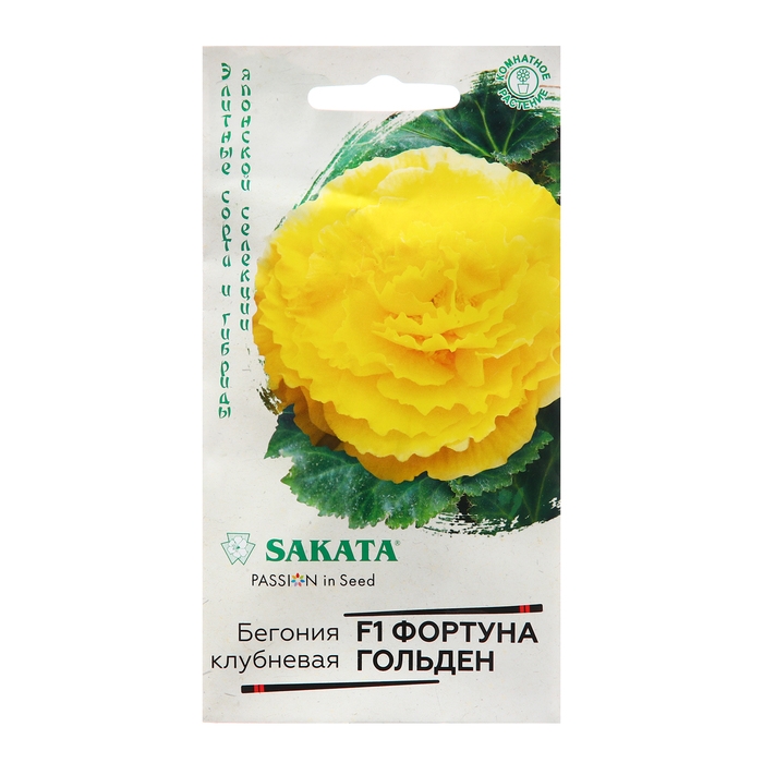 Семена Бегония  Семена Бегония "Фортуна Голден", F1, 4 шт. 1021742