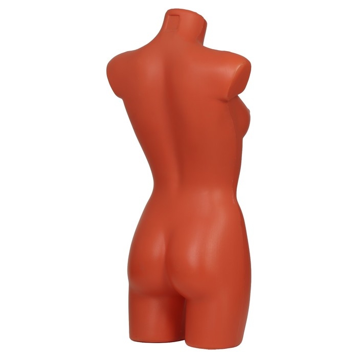 Торс женский удлиненный, 85×60×88 см, цвет телесный