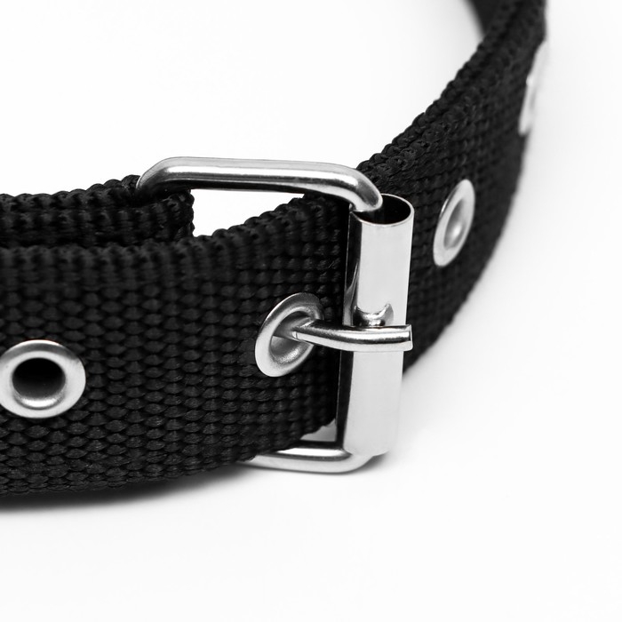 Ошейник двухслойный с вертлюгом, 58 х 3 см, полиэстер, черный Ошейник двухслойный с вертлюгом, 58 х 3 см, полиэстер, черный