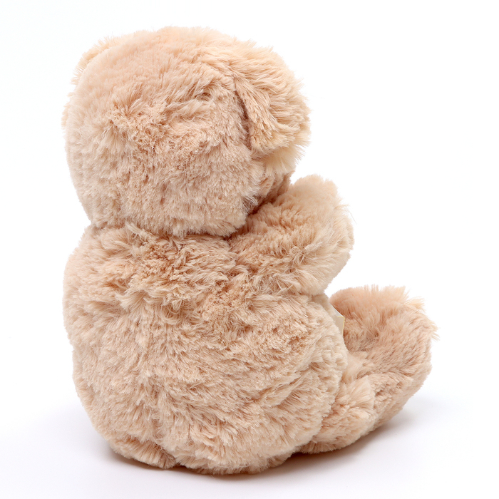 Мягкая игрушка «Ты лучше всех», медведь, цвета МИКС