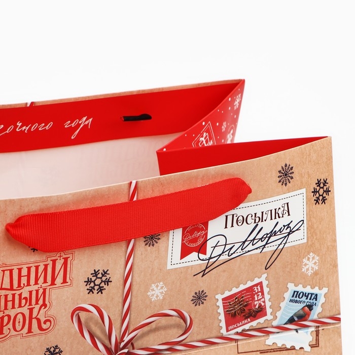 Пакет подарочный новогодний с широким дном «Сказочный подарок», 25 х 19 х 18 см