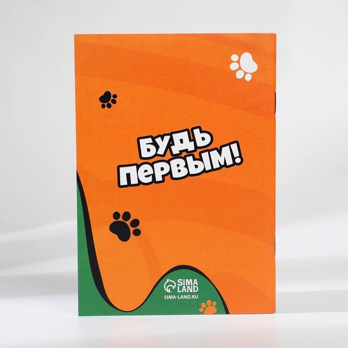 Подарочный набор «Кот» блокнот А6, значок, наклейки и карандаши 2 шт Подарочный набор «Кот» блокнот А6, значок, наклейки и карандаши 2 шт