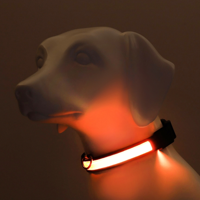 Ошейник с подсветкой Flash 3 режима свечения размер L, ОШ 45-52 х 2,5 см жёлтый Ошейник с подсветкой Flash 3 режима свечения размер L, ОШ 45-52 х 2,5 см жёлтый