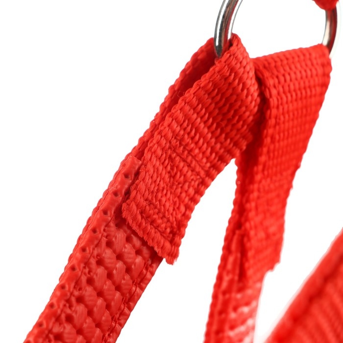 Шлейка Шлейка "Комфорт" комбинированная, 2 см, ОШ 40-60 см, ОГ 44-62 см, красная