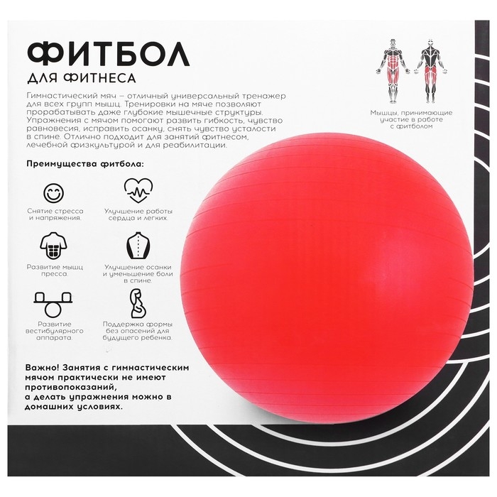 Фитбол ONLYTOP, d=55 см, 600 г, цвета МИКС Фитбол ONLYTOP, d=55 см, 600 г, цвета МИКС