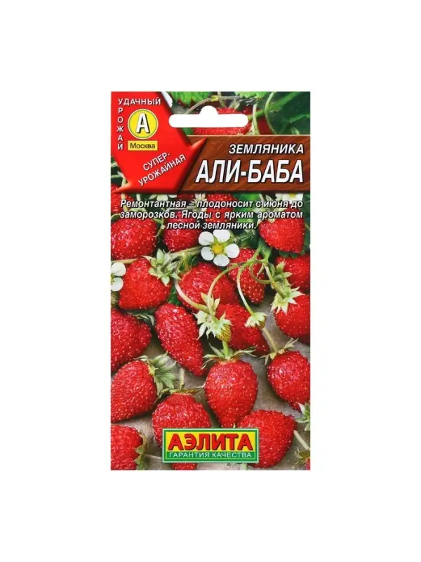 Набор семян Земляника "Али Баба" ремонтантная, 5 шт.