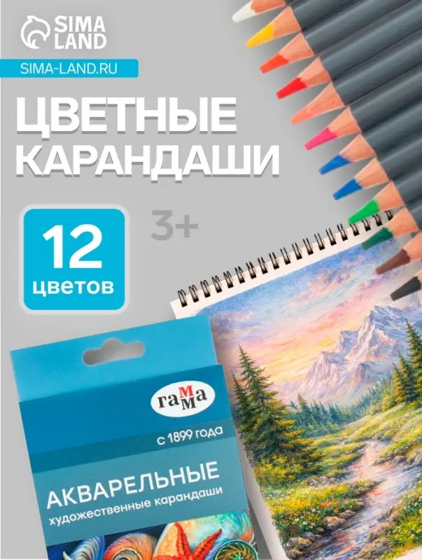 Карандаши цветные акварельные &laquo;Гамма. Студия&raquo; 12 цветов, грифель 3.8 мм, картонная коробка