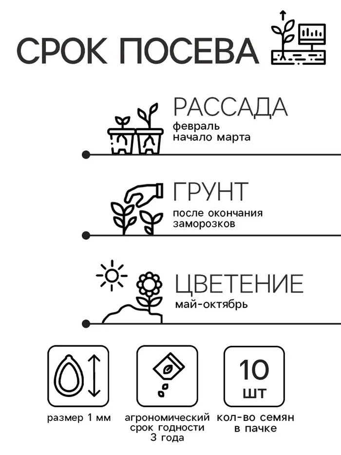 Семена цветов Катарантус Пацифика  "Бургунди" 10 шт Семена цветов Катарантус Пацифика  "Бургунди" 10 шт