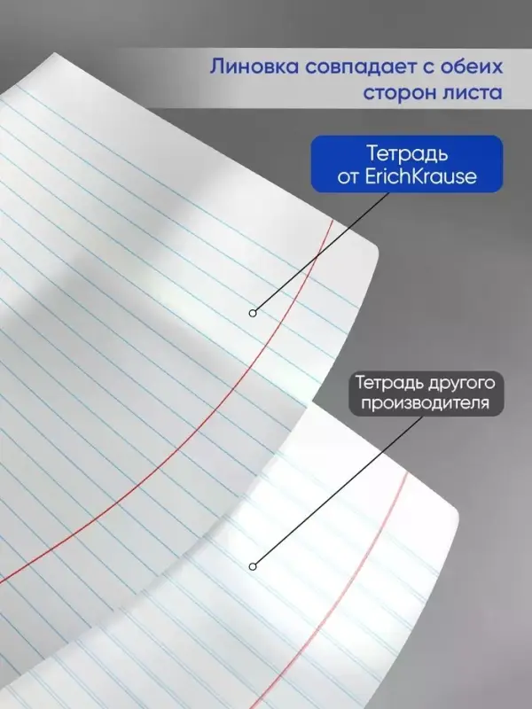 Тетрадь 24 листа в линейку ErichKrause Unicolor Bright, МИКС