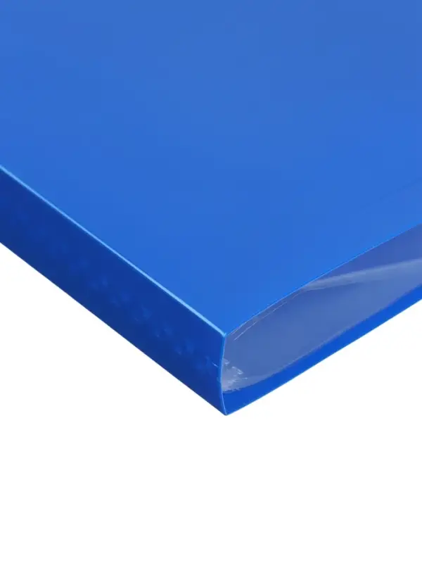 Папка с 20 вкладышами А4, 500 мкм, Calligrata, текстура &laquo;песок&raquo;, синяя