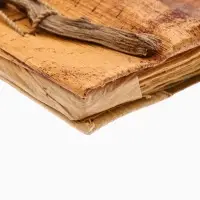 Фотоальбом "Экзотическая рыбка" 10 листов, 19х19х2 см