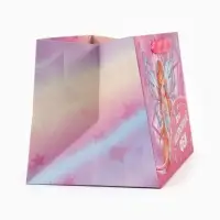 Пакет подарочный с широким дном &laquo;Для настоящей феи&raquo;, Winx, 25&times;19&times;18 см