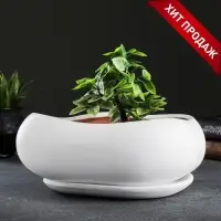 Горшок для кактусов и суккулентов &laquo;Бонсай&raquo;, 2.5 л, 28&times;24&times;11 см, керамический, с поддоном, белый