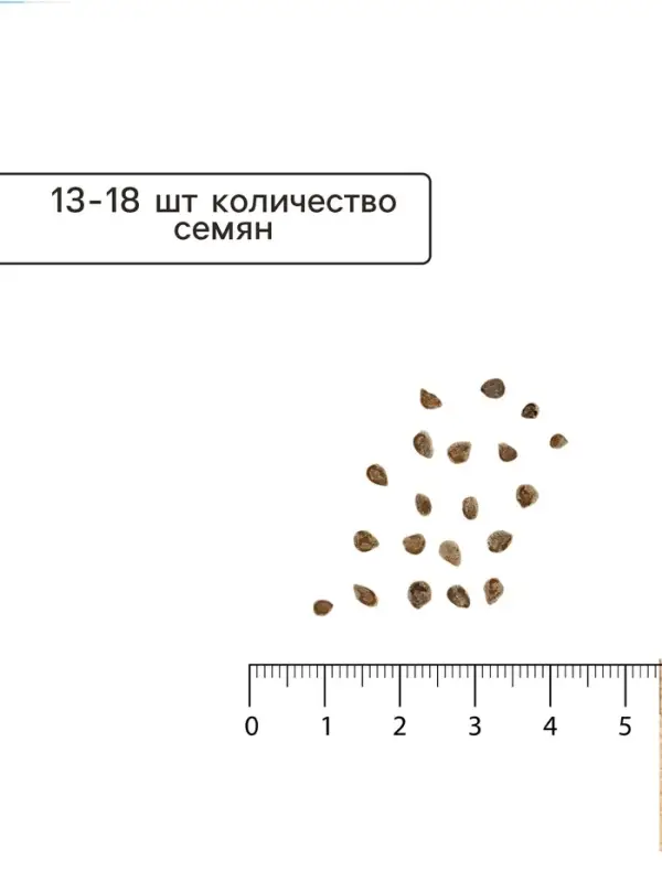 Семена Томат "Фокус-покус", индетерминантный,высокорослый, 0,2 г