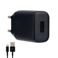 Сетевое зарядное устройство с кабелем USB на Lightning 2.4A C134A HOCO черное