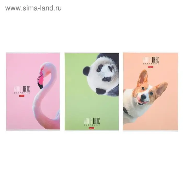 Тетрадь А4, 96 листов в клетку "Кто здесь?", обложка мелованный картон, матовая ламинация, блок офсет, МИКС