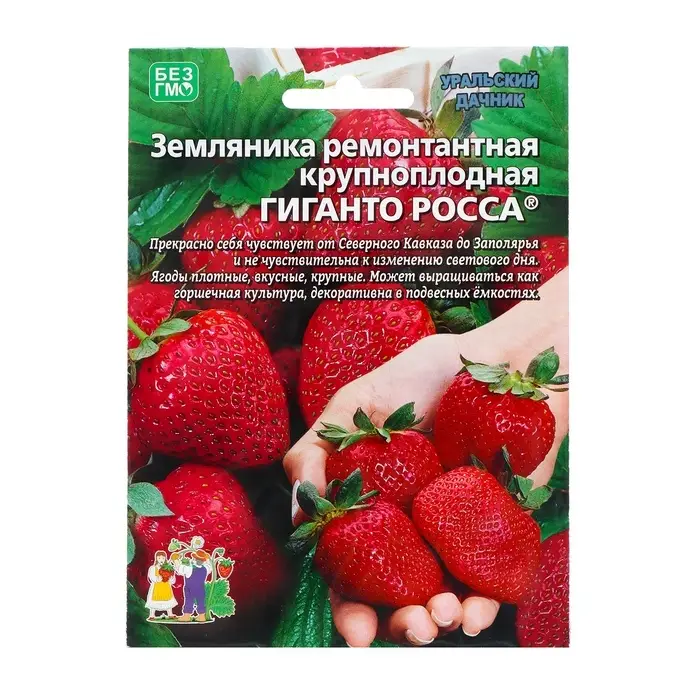 Семена Земляника &laquo;Гиганто Росса&raquo;, 10 шт., ремонтантная, крупноплодная, &laquo;Уральский дачник&raquo;