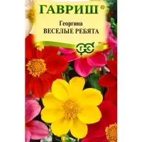 Семена Георгина воротничковая &laquo;Веселые ребята&raquo;, 0.5 г, &laquo;Гавриш&raquo;